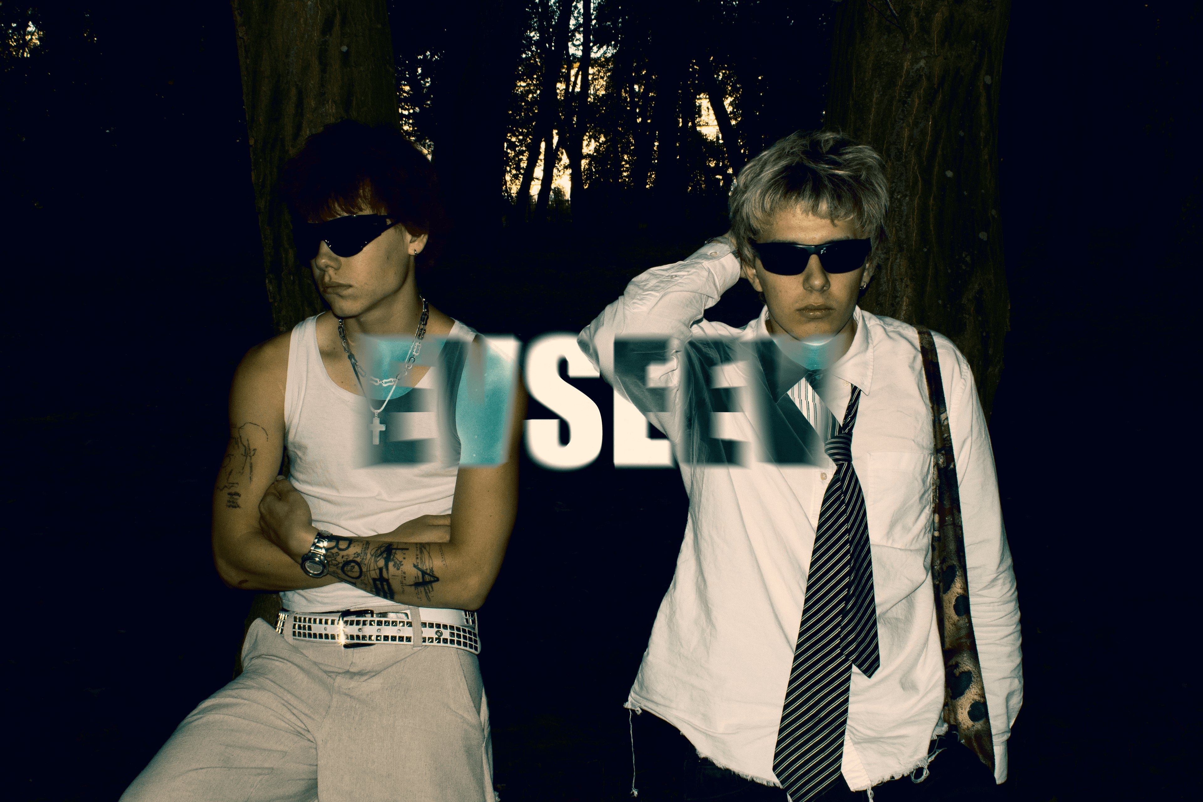 EVSEEV Campaign